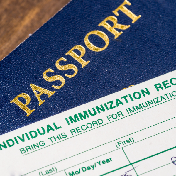 Immunization and Travel Health